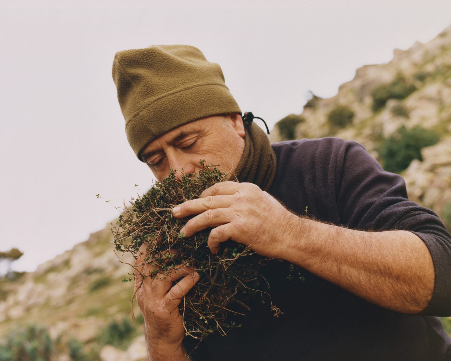 edible herbs research