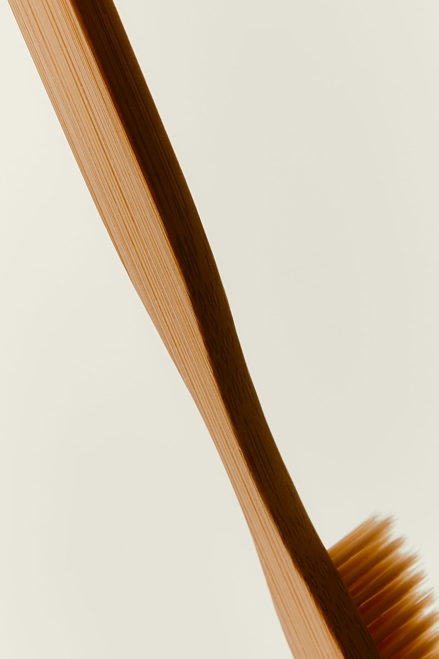 biodegradable bamboo toothbrush