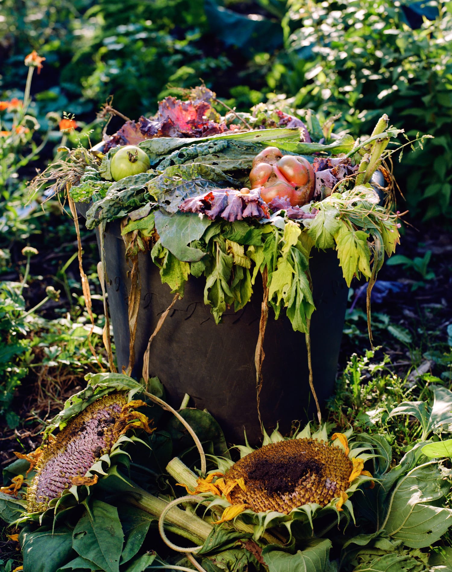 A bucket filled with compost. What is composting