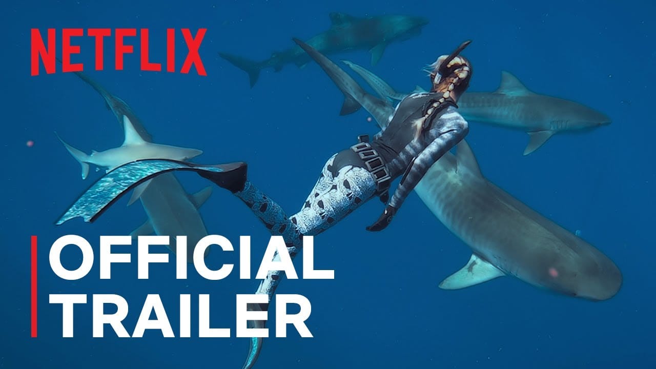 netflix shark whisperer video trailer image