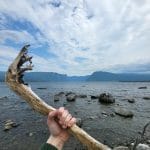 hand holding up a stick looking across a lake with mountains in the horizon