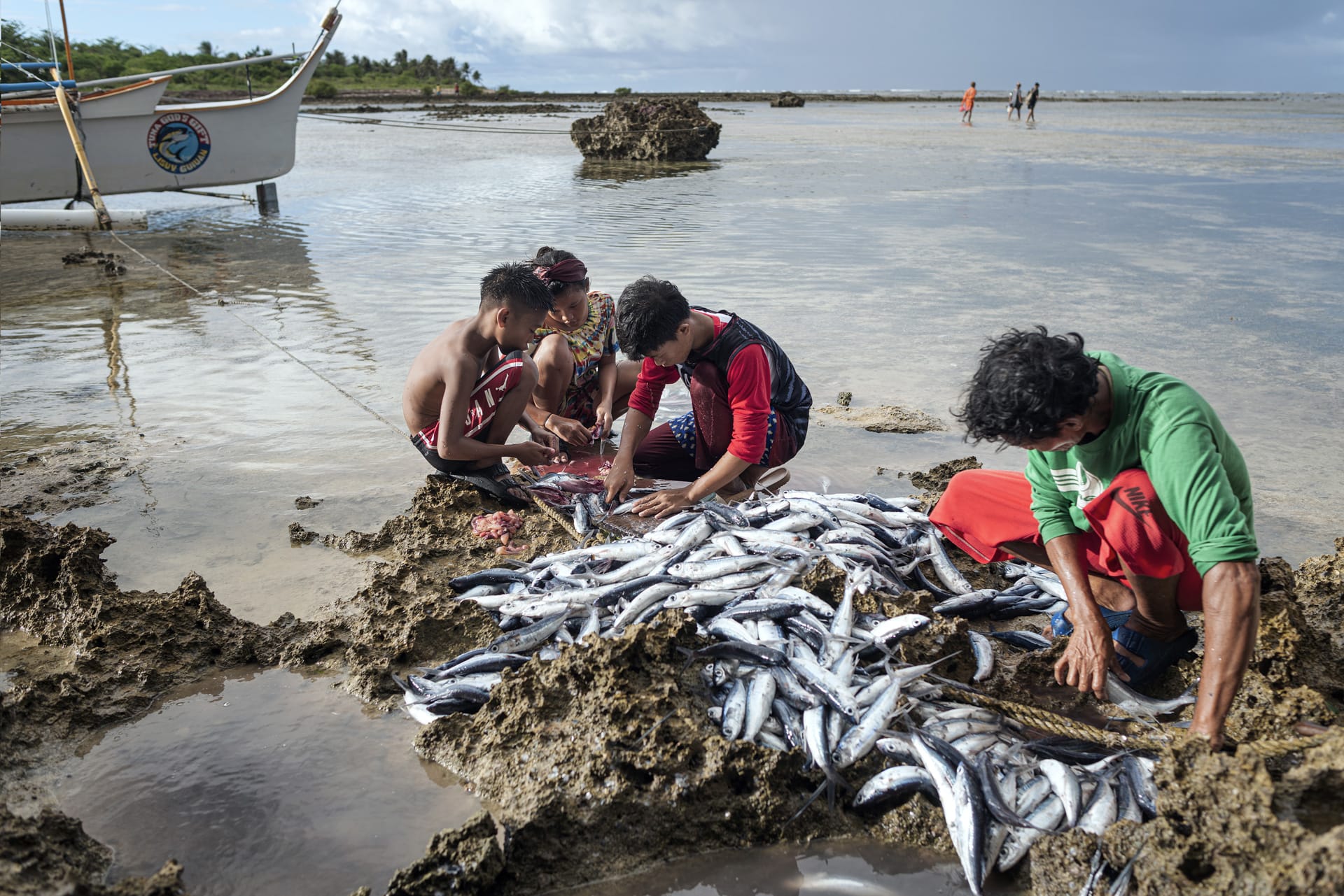 A group of kids looking at Flying fish on the shore