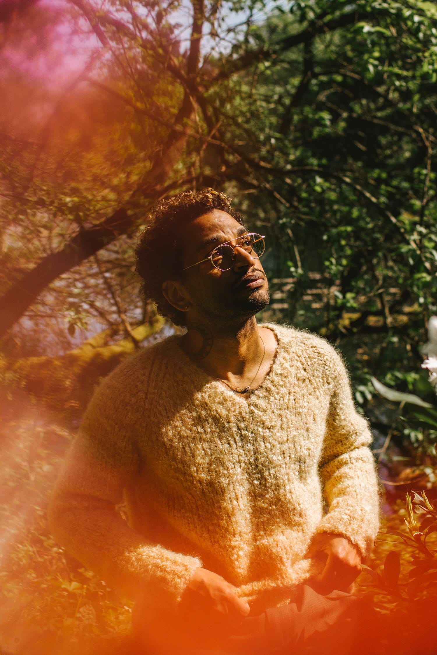 David Zilber fermentation noma