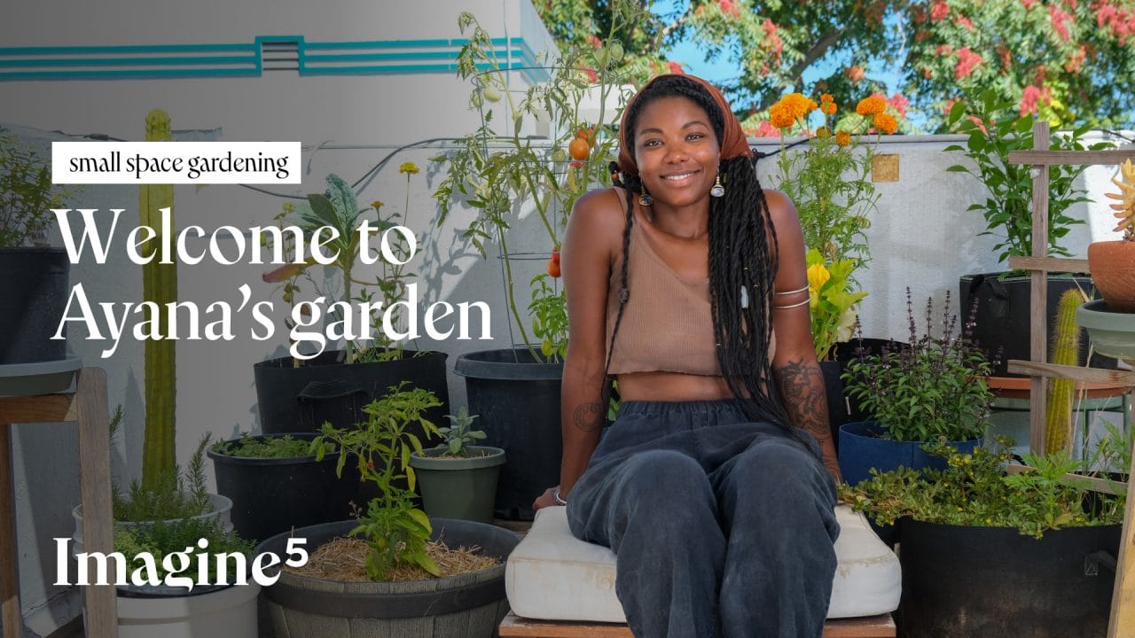 Small space gardening