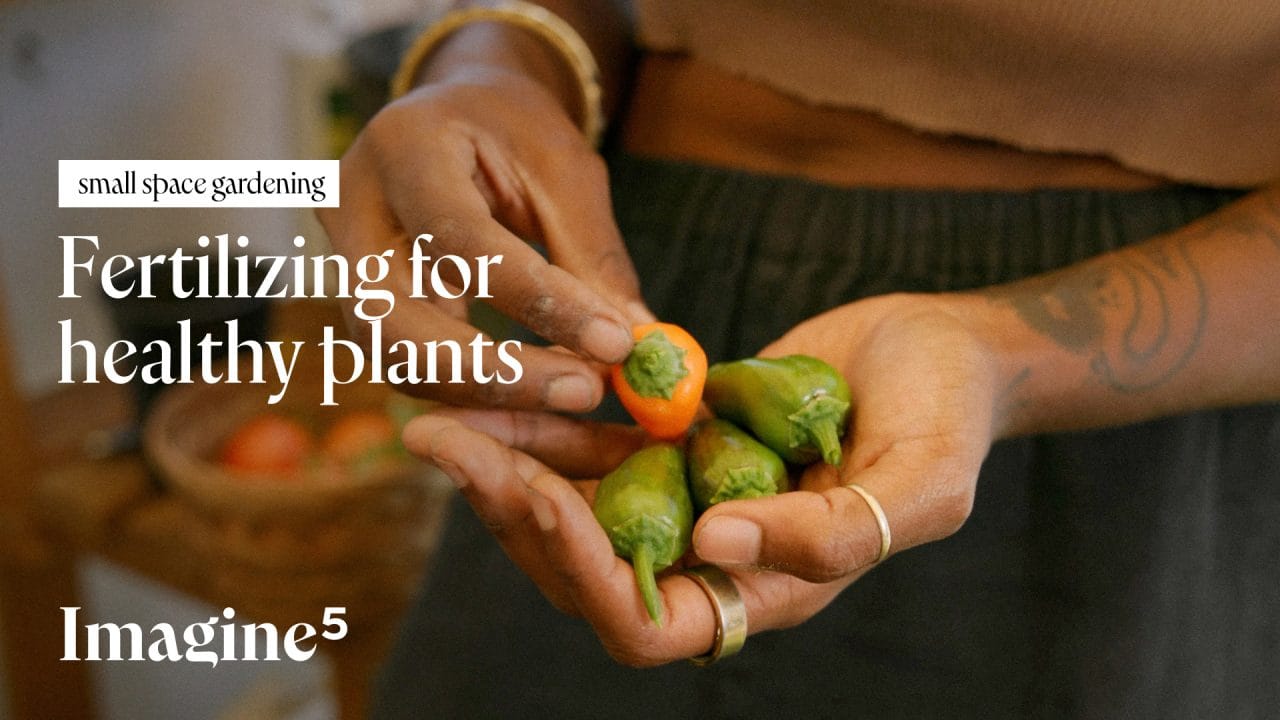 Small space gardening