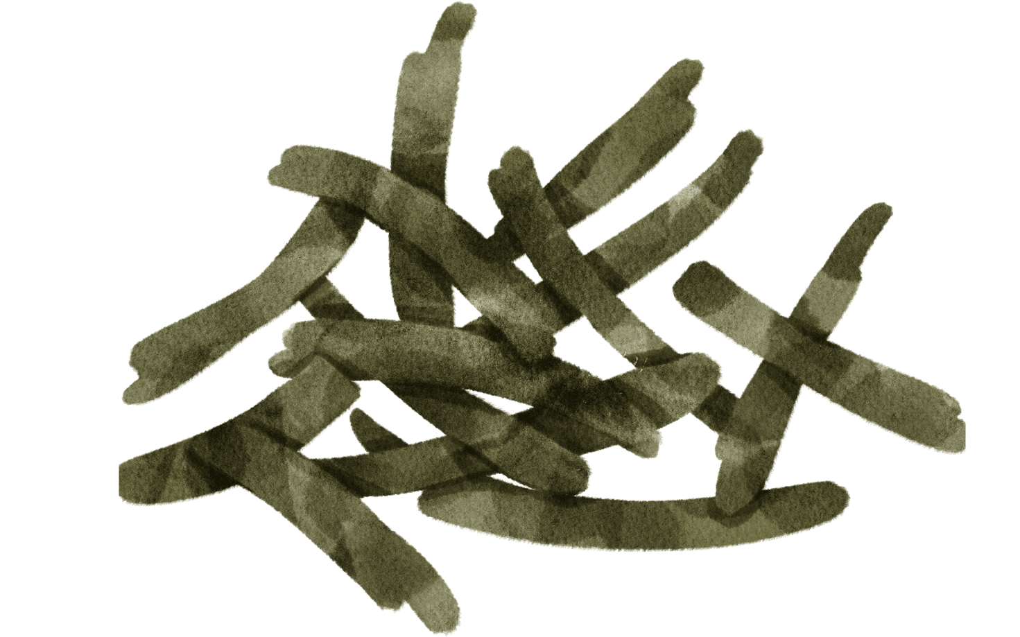 most sustainable vegetables seaweed