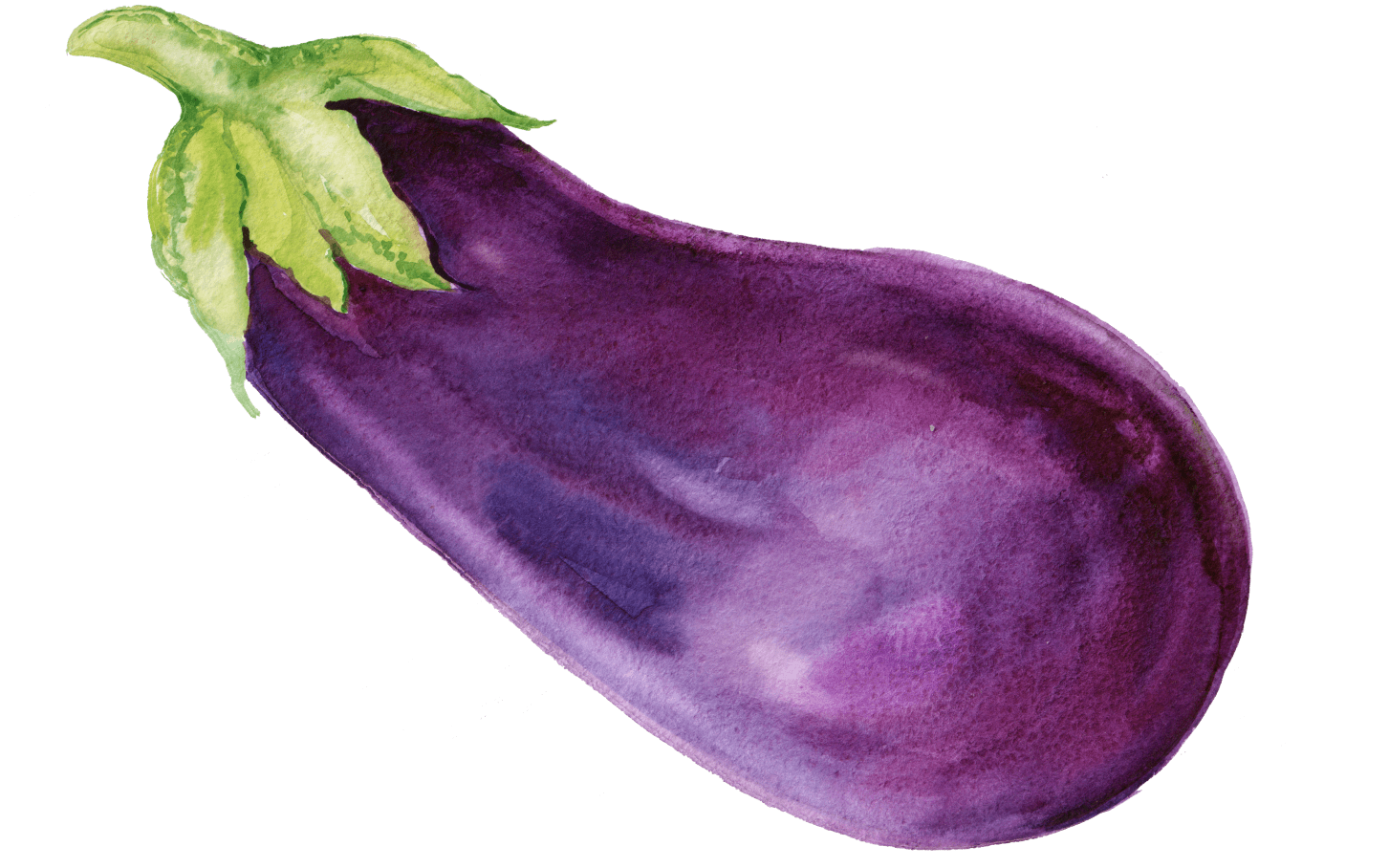 most sustainable vegetables eggplant courgette