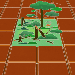 environmental impact of chocolate